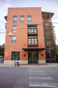 Can Plant at The Pearl